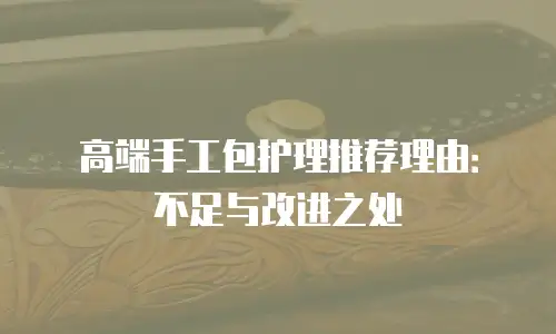 高端手工包护理推荐理由：不足与改进之处