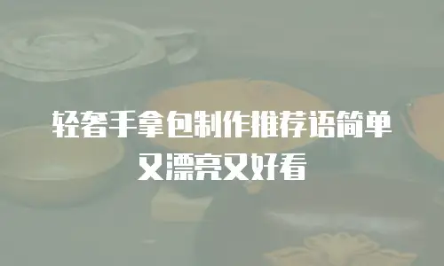 轻奢手拿包制作推荐语简单又漂亮又好看