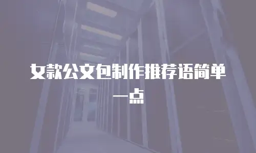 女款公文包制作推荐语简单一点