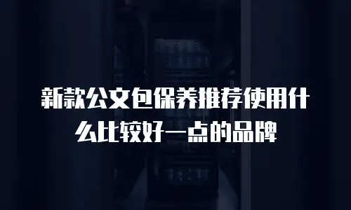 新款公文包保养推荐使用什么比较好一点的品牌