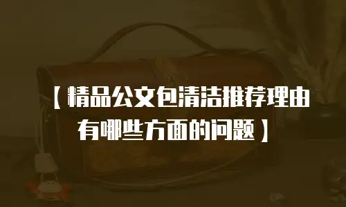 【精品公文包清洁推荐理由有哪些方面的问题】