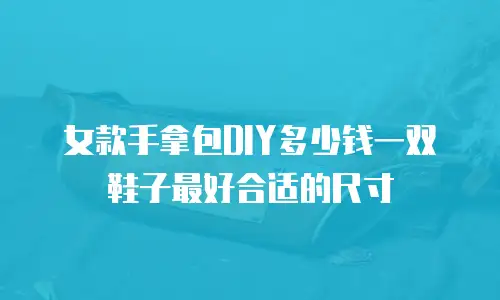 女款手拿包DIY多少钱一双鞋子最好合适的尺寸