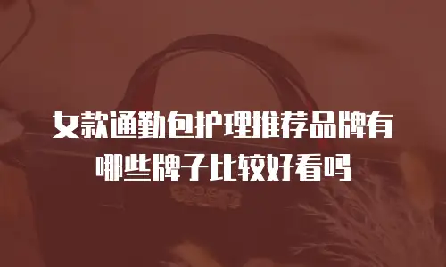 女款通勤包护理推荐品牌有哪些牌子比较好看吗