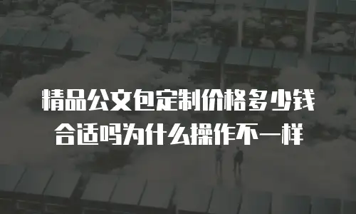 精品公文包定制价格多少钱合适吗为什么操作不一样