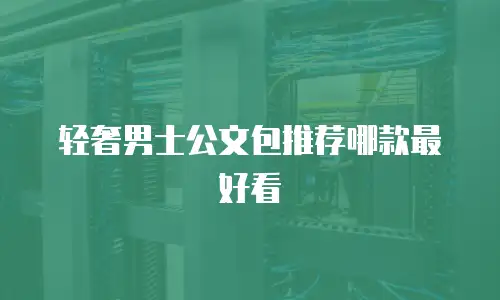 轻奢男士公文包推荐哪款最好看