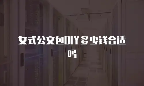 女式公文包DIY多少钱合适吗
