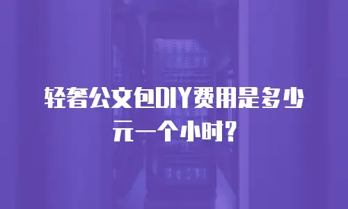 轻奢公文包DIY费用是多少元一个小时？