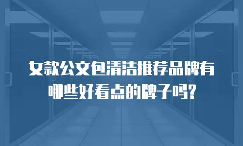 女款公文包清洁推荐品牌有哪些好看点的牌子吗?