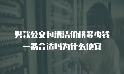 男款公文包清洁价格多少钱一条合适吗为什么便宜