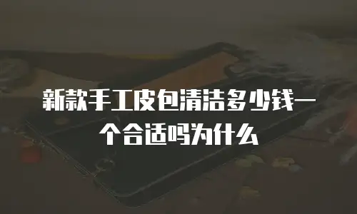 新款手工皮包清洁多少钱一个合适吗为什么