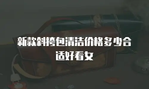 新款斜挎包清洁价格多少合适好看女