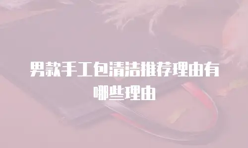 男款手工包清洁推荐理由有哪些理由