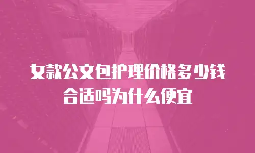女款公文包护理价格多少钱合适吗为什么便宜