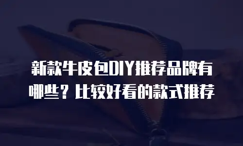 新款牛皮包DIY推荐品牌有哪些？比较好看的款式推荐