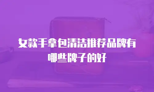 女款手拿包清洁推荐品牌有哪些牌子的好