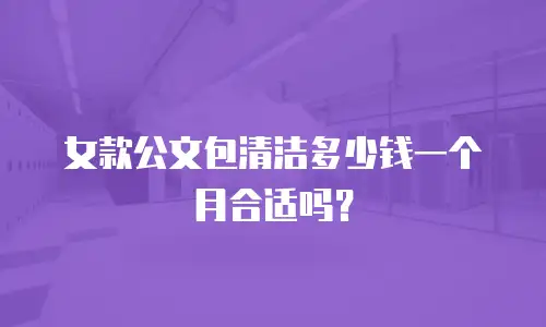 女款公文包清洁多少钱一个月合适吗？