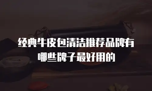 经典牛皮包清洁推荐品牌有哪些牌子最好用的