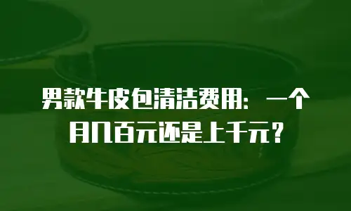 男款牛皮包清洁费用：一个月几百元还是上千元？