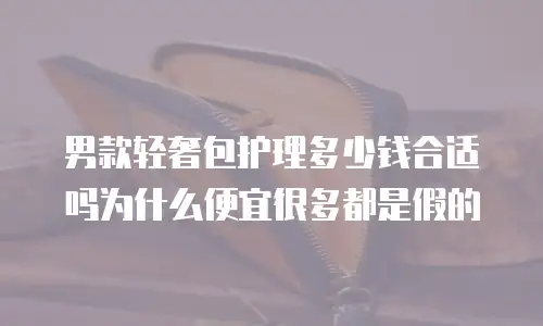 男款轻奢包护理多少钱合适吗为什么便宜很多都是假的