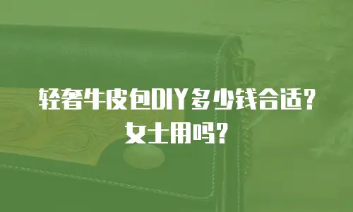 轻奢牛皮包DIY多少钱合适？女士用吗？