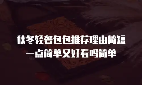 秋冬轻奢包包推荐理由简短一点简单又好看吗简单