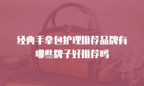 经典手拿包护理推荐品牌有哪些牌子好推荐吗
