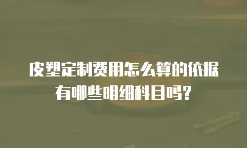 皮塑定制费用怎么算的依据有哪些明细科目吗？