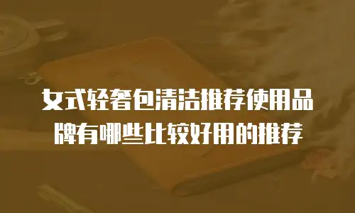 女式轻奢包清洁推荐使用品牌有哪些比较好用的推荐