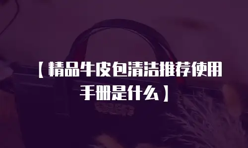 【精品牛皮包清洁推荐使用手册是什么】