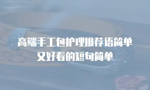 高端手工包护理推荐语简单又好看的短句简单