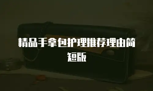 精品手拿包护理推荐理由简短版