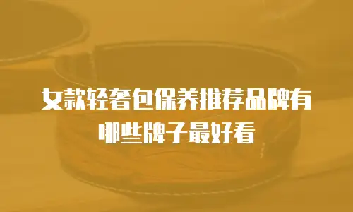女款轻奢包保养推荐品牌有哪些牌子最好看