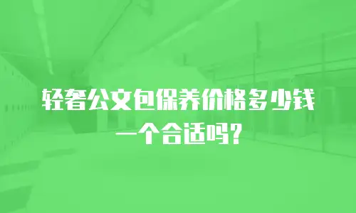 轻奢公文包保养价格多少钱一个合适吗？