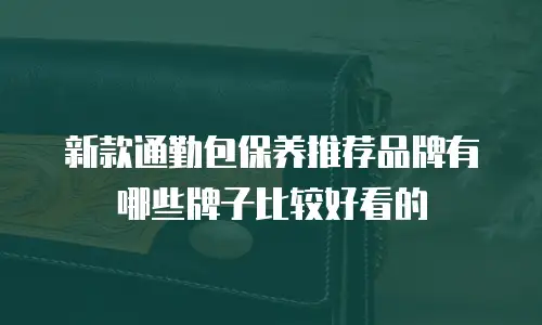 新款通勤包保养推荐品牌有哪些牌子比较好看的