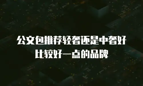 公文包推荐轻奢还是中奢好比较好一点的品牌