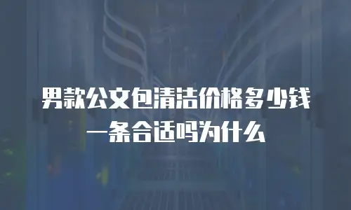 男款公文包清洁价格多少钱一条合适吗为什么