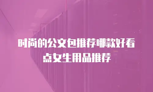 时尚的公文包推荐哪款好看点女生用品推荐