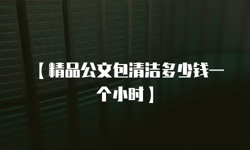 【精品公文包清洁多少钱一个小时】