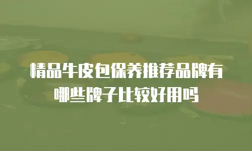 精品牛皮包保养推荐品牌有哪些牌子比较好用吗
