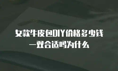 女款牛皮包DIY价格多少钱一双合适吗为什么