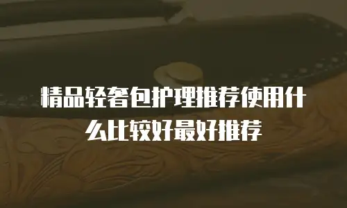 精品轻奢包护理推荐使用什么比较好最好推荐