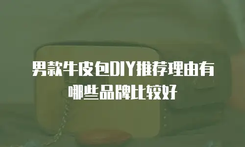 男款牛皮包DIY推荐理由有哪些品牌比较好