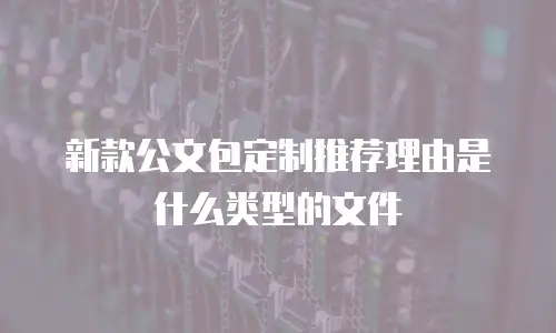 新款公文包定制推荐理由是什么类型的文件