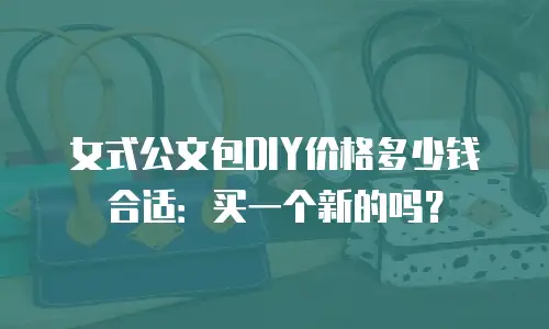 女式公文包DIY价格多少钱合适：买一个新的吗？