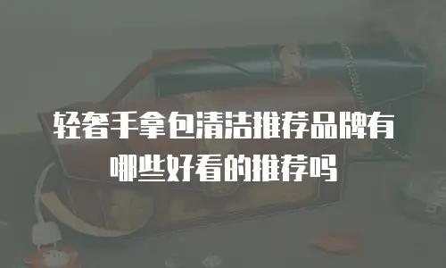 轻奢手拿包清洁推荐品牌有哪些好看的推荐吗