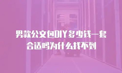 男款公文包DIY多少钱一套合适吗为什么找不到