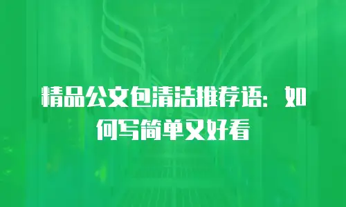 精品公文包清洁推荐语：如何写简单又好看