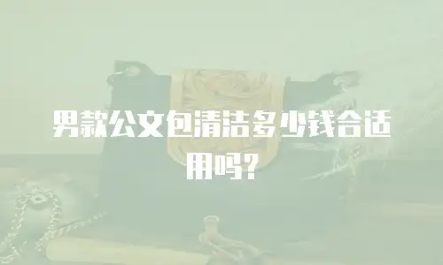 男款公文包清洁多少钱合适用吗？