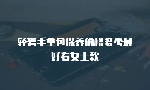 轻奢手拿包保养价格多少最好看女士款