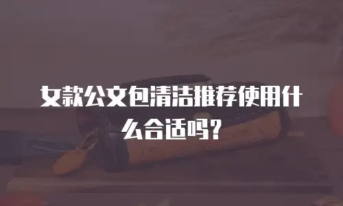 女款公文包清洁推荐使用什么合适吗？